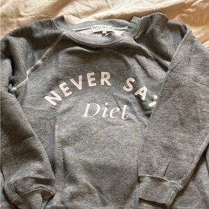 Wildfox Vintage Oversized Jumper Sweatshirt - Never Say Diet - Gray - Small